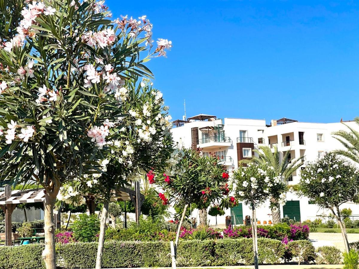 Relaxing Penthouse Suites By The Sea Vokolidha Экстерьер фото
